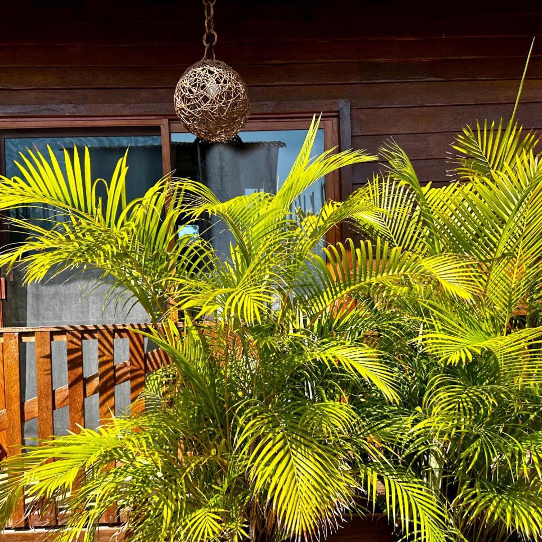 Ecoco Holbox - Ecochic - Cabanas De Madera - Holbox Retreat Buitenkant foto