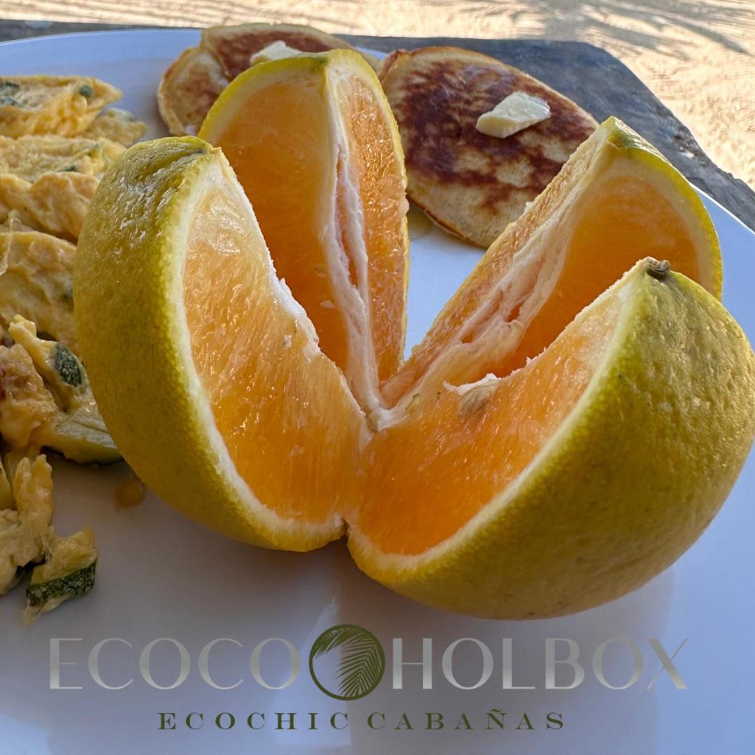 Ecoco Holbox - Ecochic - Cabanas De Madera - Holbox Retreat Buitenkant foto